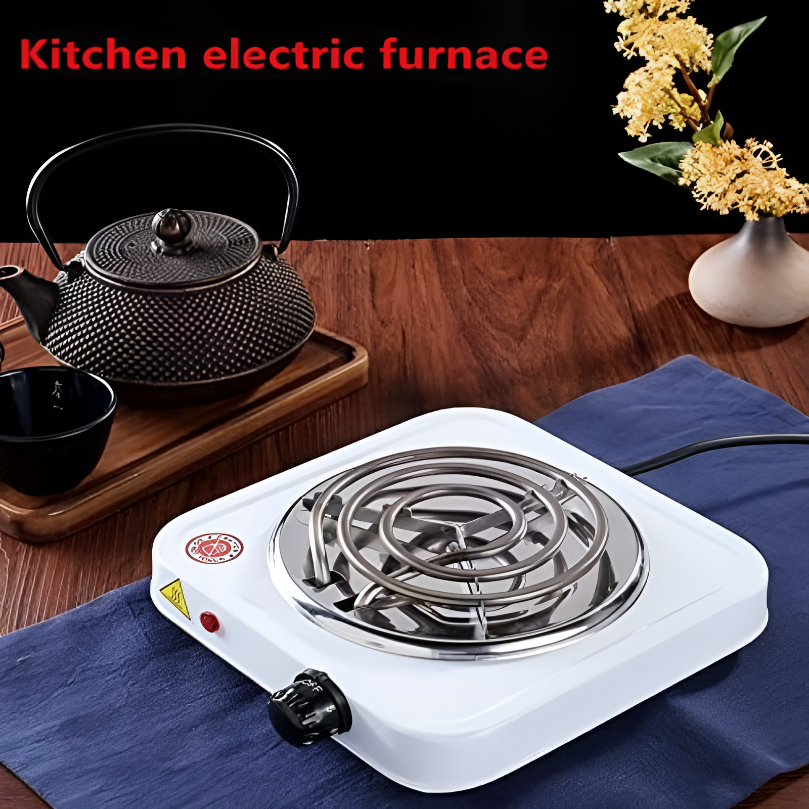Electric Stove & Hot Plate